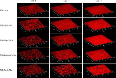 The impact of light/dark regimes on structure and physiology of Chlorella vulgaris biofilms